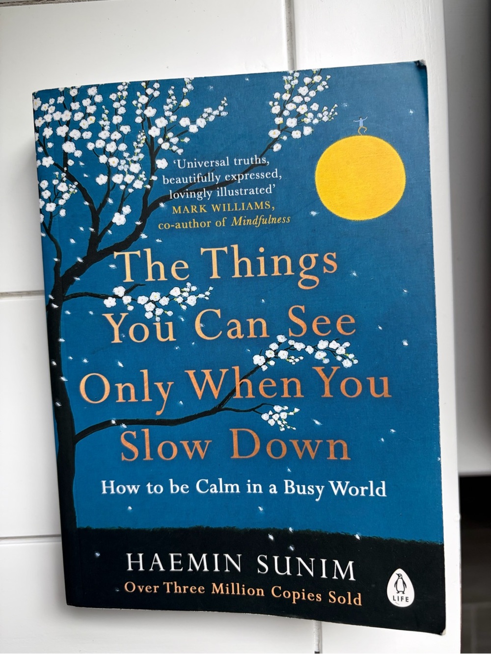 Book: The Things You Can See Only When You Slow Down